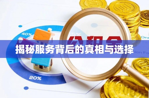 洛龙揭秘服务背后的真相与选择