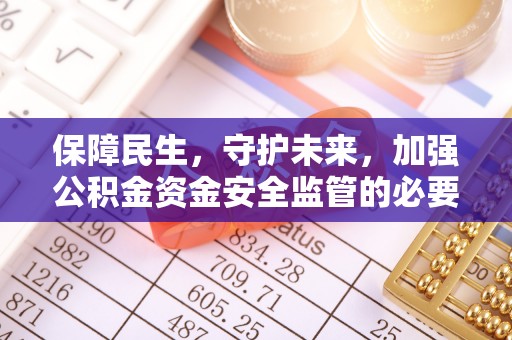 洛龙保障民生，守护未来，加强公积金资金安全监管的必要性与实践