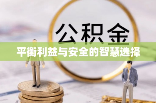 洛龙平衡利益与安全的智慧选择
