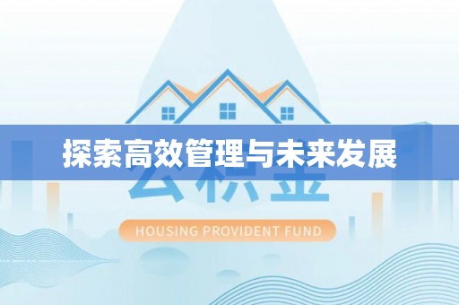 洛龙探索高效管理与未来发展