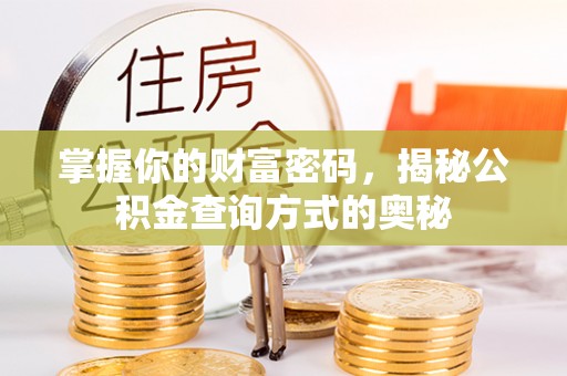 洛龙掌握你的财富密码，揭秘公积金查询方式的奥秘
