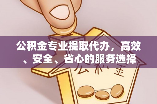 洛龙公积金专业提取代办，高效、安全、省心的服务选择