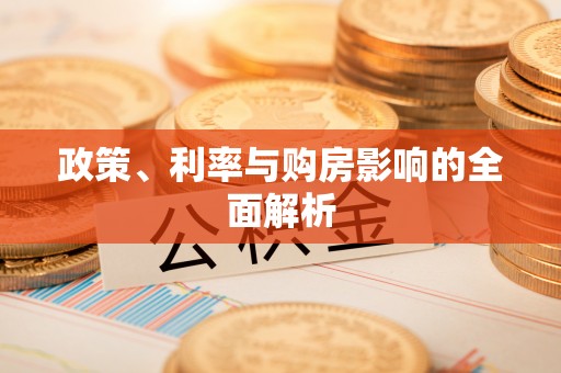 洛龙政策、利率与购房影响的全面解析