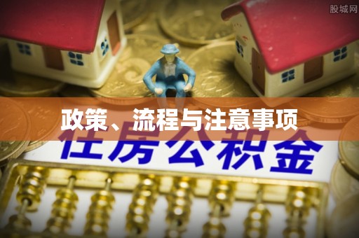 洛龙政策、流程与注意事项