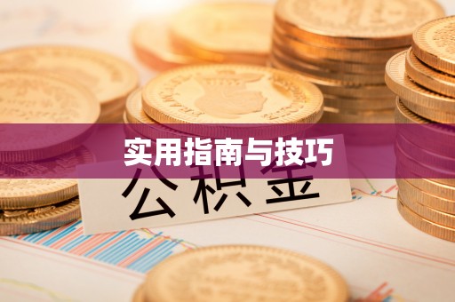 洛龙实用指南与技巧