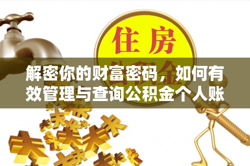 洛龙解密你的财富密码，如何有效管理与查询公积金个人账户信息