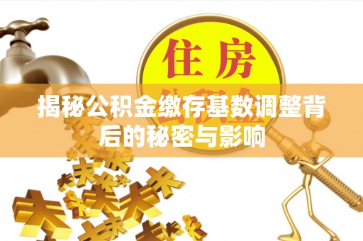 洛龙揭秘公积金缴存基数调整背后的秘密与影响
