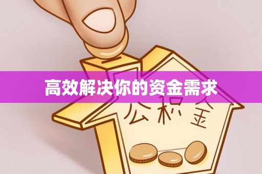 洛龙高效解决你的资金需求