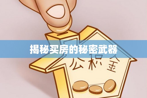 洛龙揭秘买房的秘密武器