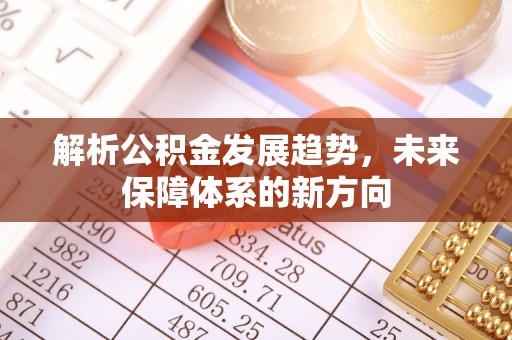 洛龙解析公积金发展趋势，未来保障体系的新方向
