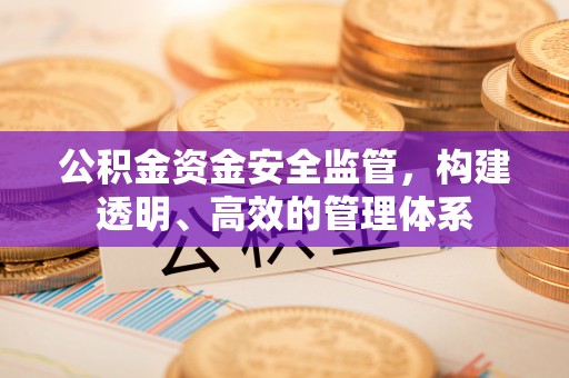 洛龙公积金资金安全监管，构建透明、高效的管理体系
