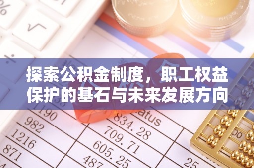 洛龙探索公积金制度，职工权益保护的基石与未来发展方向