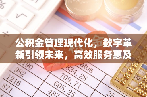 洛龙公积金管理现代化，数字革新引领未来，高效服务惠及民生
