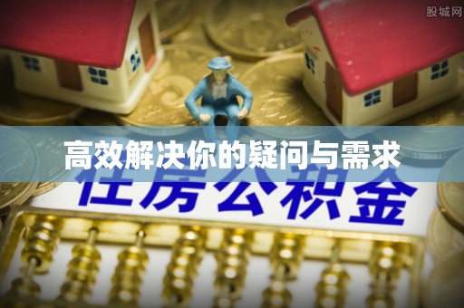 洛龙高效解决你的疑问与需求