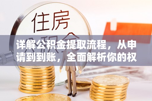 洛龙详解公积金提取流程，从申请到到账，全面解析你的权益与操作步骤