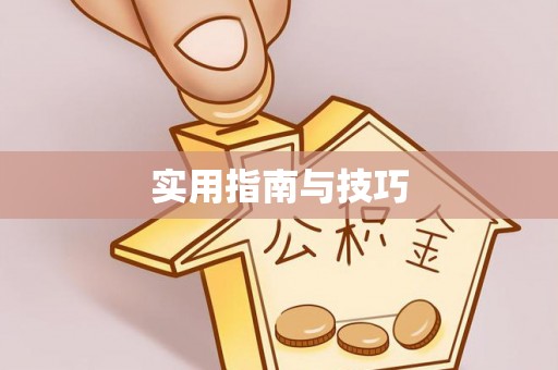 洛龙实用指南与技巧