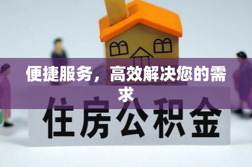 洛龙便捷服务，高效解决您的需求
