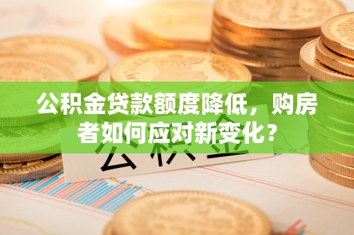 洛龙公积金贷款额度降低，购房者如何应对新变化？