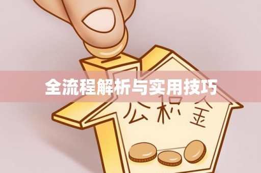 洛龙全流程解析与实用技巧
