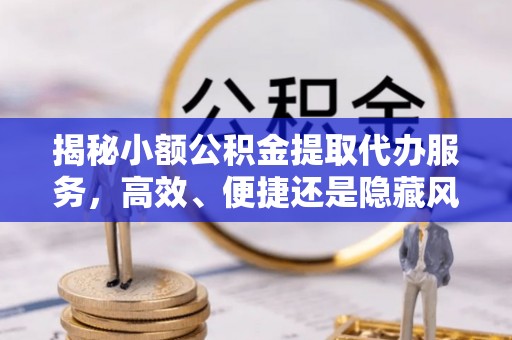 洛龙揭秘小额公积金提取代办服务，高效、便捷还是隐藏风险？