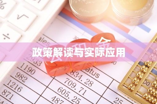 洛龙政策解读与实际应用
