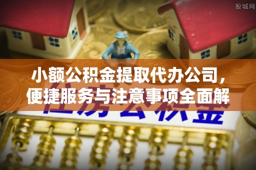 洛龙小额公积金提取代办公司，便捷服务与注意事项全面解析