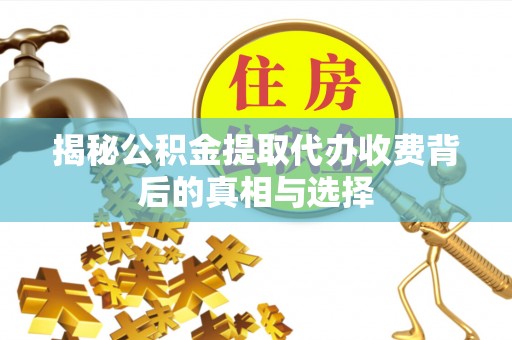洛龙揭秘公积金提取代办收费背后的真相与选择