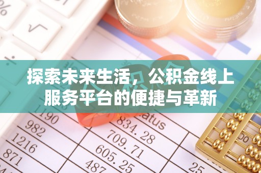 洛龙探索未来生活，公积金线上服务平台的便捷与革新