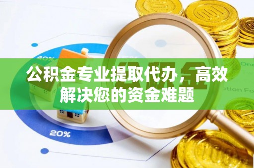 洛龙公积金专业提取代办，高效解决您的资金难题