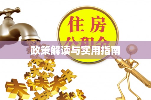 洛龙政策解读与实用指南