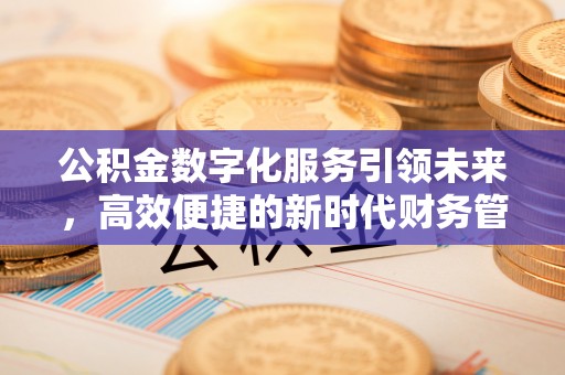 洛龙公积金数字化服务引领未来，高效便捷的新时代财务管理