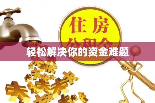 洛龙轻松解决你的资金难题