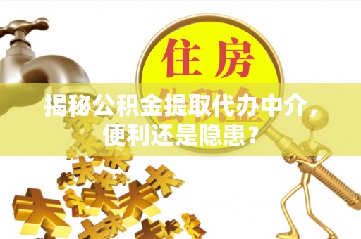 洛龙揭秘公积金提取代办中介，便利还是隐患？