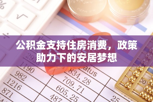 洛龙公积金支持住房消费，政策助力下的安居梦想