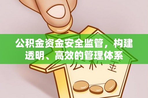 洛龙公积金资金安全监管，构建透明、高效的管理体系