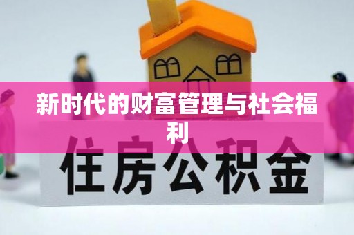 洛龙新时代的财富管理与社会福利