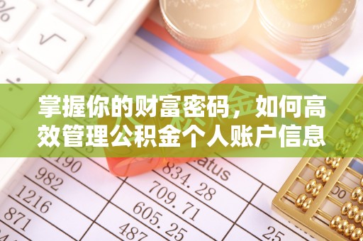 洛龙掌握你的财富密码，如何高效管理公积金个人账户信息