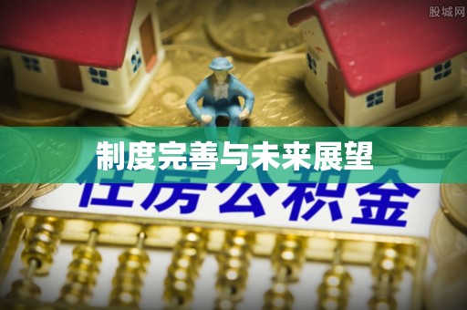 洛龙制度完善与未来展望