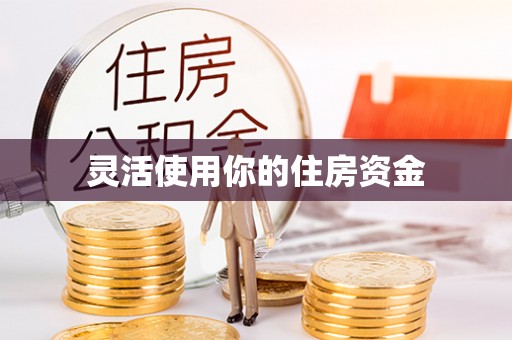 洛龙灵活使用你的住房资金