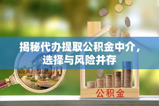 洛龙揭秘代办提取公积金中介，选择与风险并存