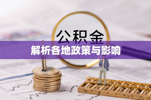 洛龙解析各地政策与影响