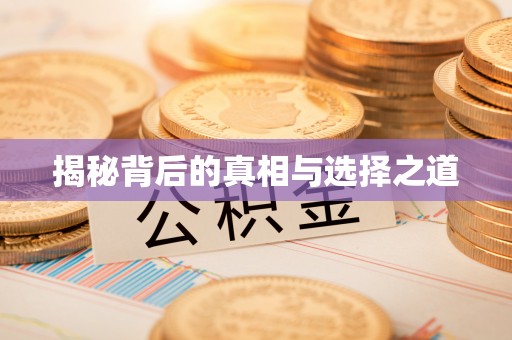 洛龙揭秘背后的真相与选择之道