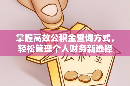 洛龙掌握高效公积金查询方式，轻松管理个人财务新选择