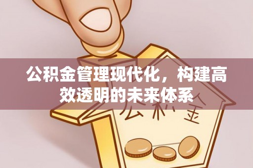 洛龙公积金管理现代化，构建高效透明的未来体系