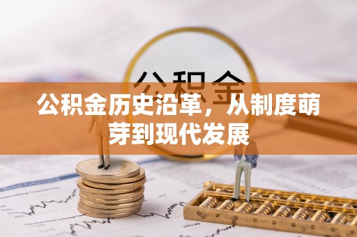洛龙公积金历史沿革，从制度萌芽到现代发展