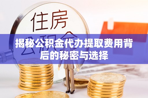 洛龙揭秘公积金代办提取费用背后的秘密与选择