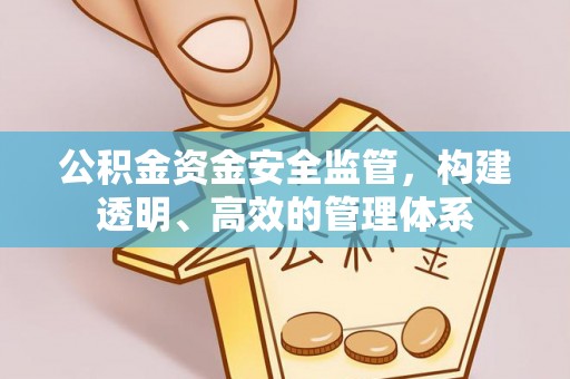 洛龙公积金资金安全监管，构建透明、高效的管理体系