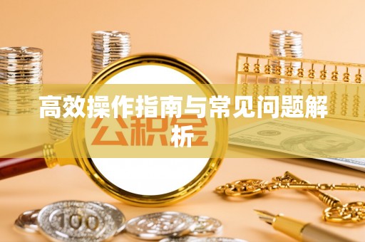 洛龙高效操作指南与常见问题解析
