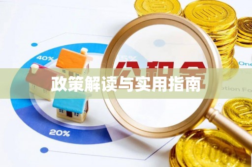 洛龙政策解读与实用指南