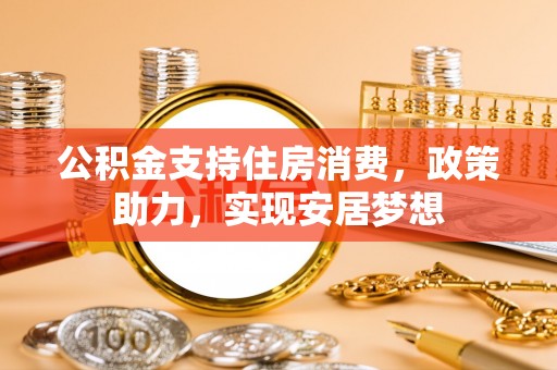 洛龙公积金支持住房消费，政策助力，实现安居梦想